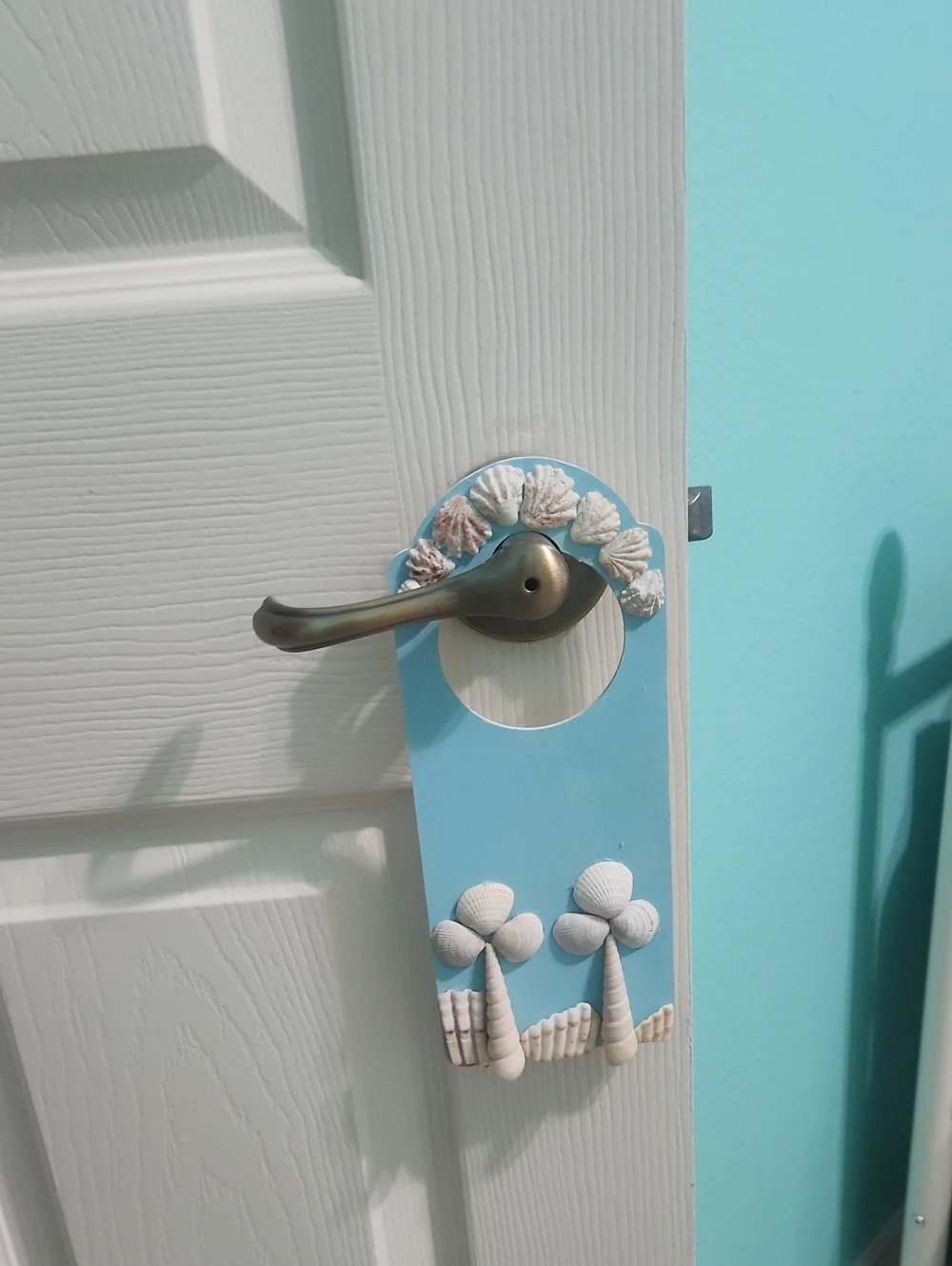 N/A coastal door